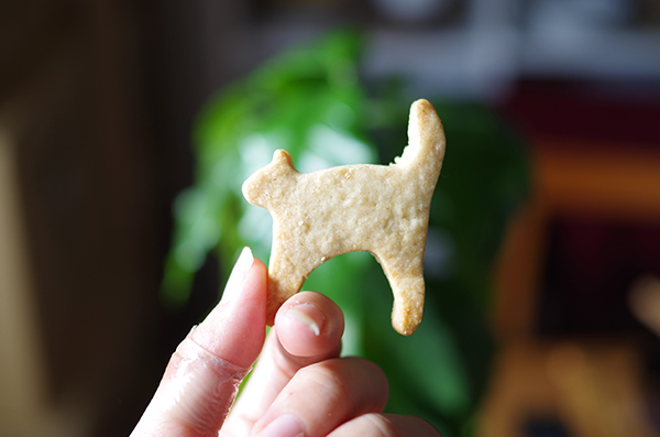 クッキーの写真